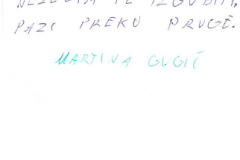 Slika_5