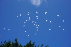 21761708_826451044181297_5238730267444829790_n