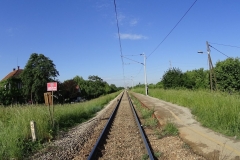 DSC00354_Easy-Resize.com_