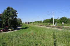 DSC00368_Easy-Resize.com_